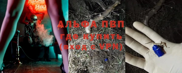 прущие грибы Навашино