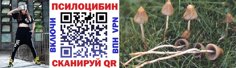 Псилоцибиновые грибы GOLDEN TEACHER где можно купить наркотик Ртищево